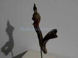 Exposición el tiempo de la Crisálida